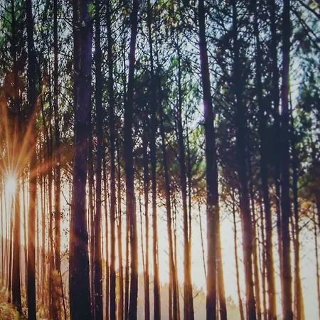 Clos Castel 4* Casteljaloux