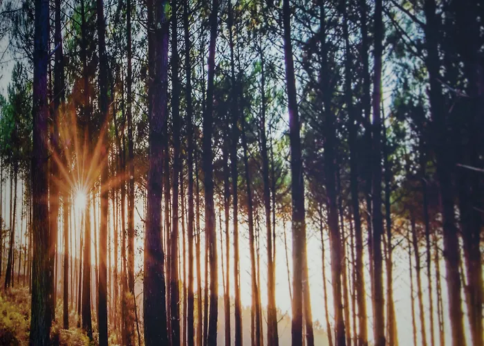 Clos Castel 4* Casteljaloux